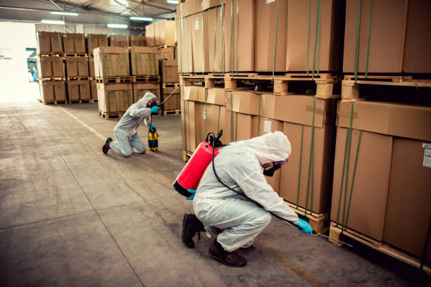 Best Termite Control Services  in Lake Crystal, MN
