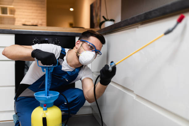 Best Affordable Pest Control Services  in Lake Crystal, MN